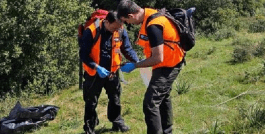 Θεσσαλία: Βασανιστικός θάνατος για 12 σκύλους και 3 πτηνά από δηλητηριασμένα δολώματα