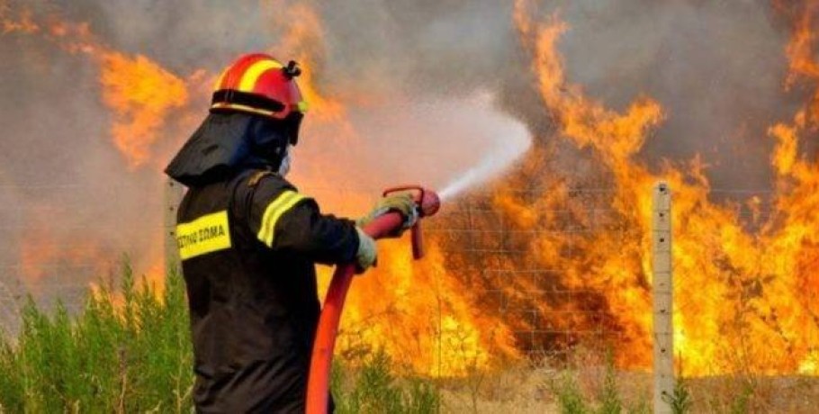 Δήμος Αλμωπίας: Ανακοίνωση για την πυροπροστασία
