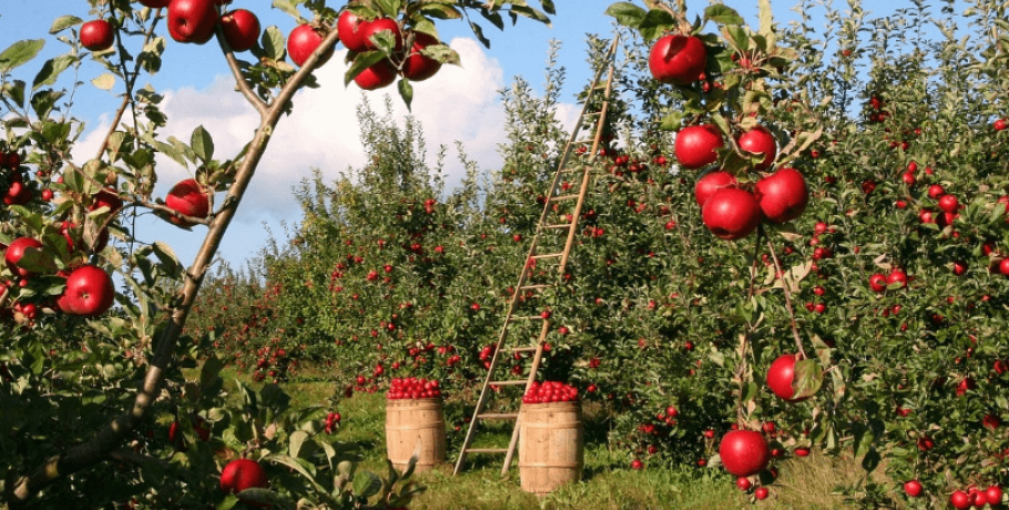 Μέσα και ο ΑΣ Πέλλας! Εξετάζεται το αίτημα  για αποζημιώσεις λόγω Σουέζ