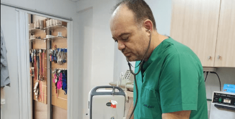 Γιαννιτσά: Όταν υπάρχουν άνθρωποι/Θεραπεύτηκε και βρήκε σπίτι!