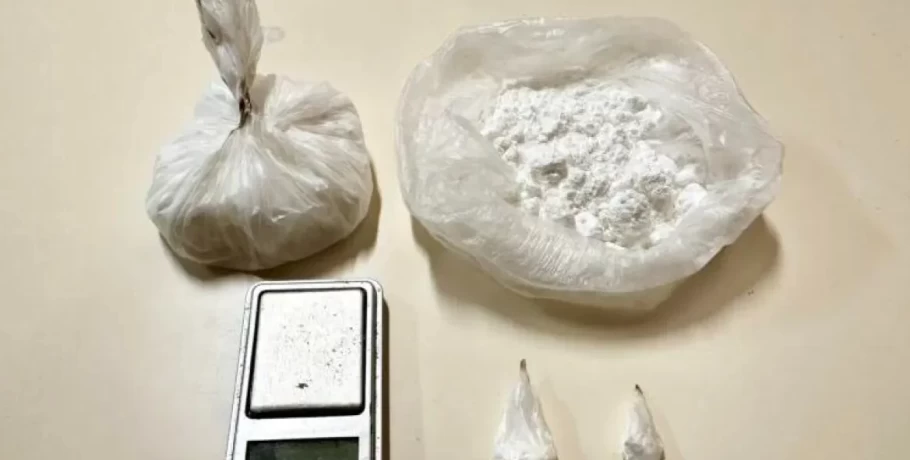 Βόλος: Σκύλος ανιχνευτής βρήκε κοκαΐνη αξίας 30.000 ευρώ