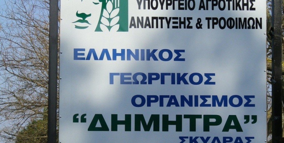 Κέντρο «ΔΗΜΗΤΡΑ» Σκύδρας του ΕΛΓΟ - Υλοποίηση Προγραμμάτων Κατάρτισης