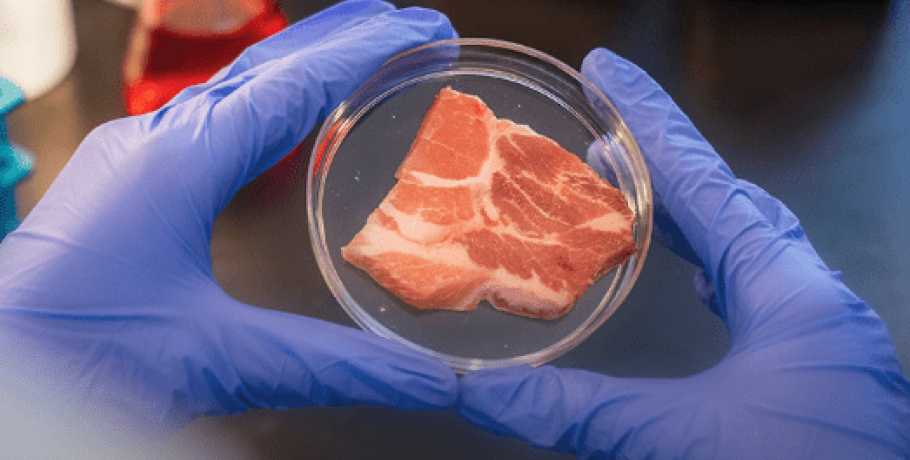 Είναι το τεχνητό κρέας η λύση του πλανήτη;