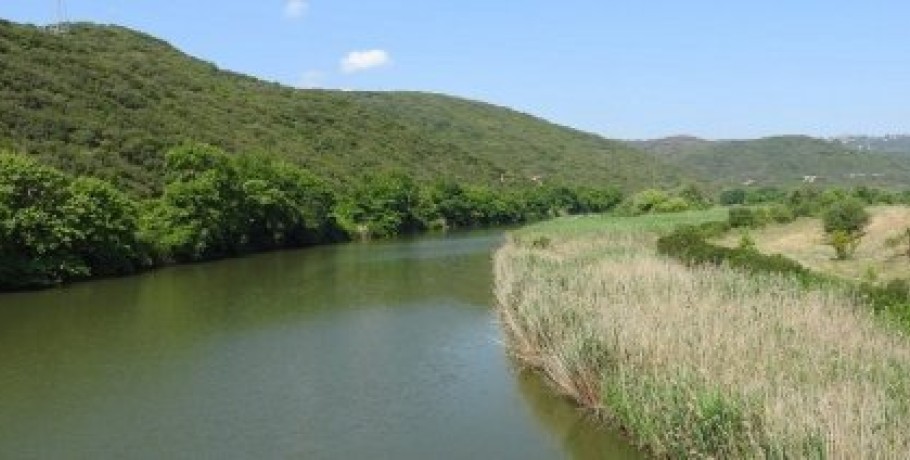 Πότε απαγορεύεται η ενάσκηση επαγγελματικής και ερασιτεχνικής αλιείας ιχθύων και λοιπών υδρόβιων ζώων