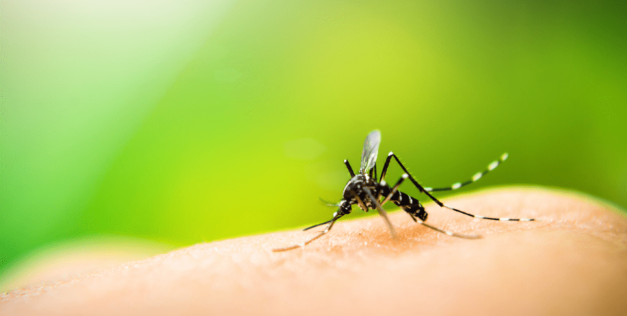 Δήμος Αλμωπίας -Πρόγραμμα δράσεων 18ης εβδομάδας για τα κουνούπια