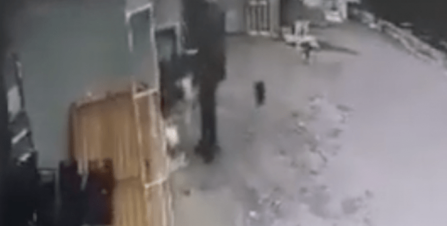 Βραυρώνα: Βίντεο-ντοκουμέντο με τη στιγμή που ο πατέρας πετάει το βρέφος στα σκουπίδια