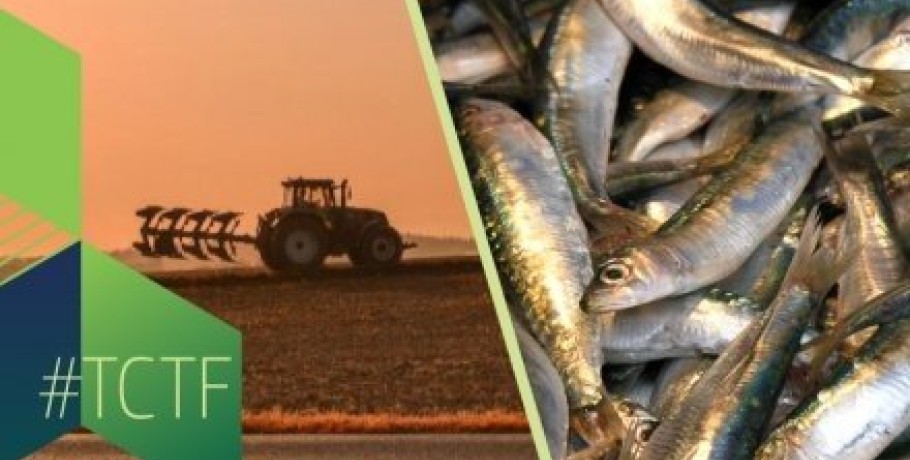 Εξάμηνη παράταση από Ε.Ε. σε κρατικές ενισχύσεις αντιμετώπισης κρίσεων σε γεωργία και αλιεία