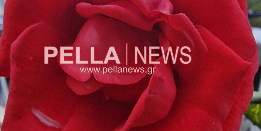 Ποιοι γιορτάζουν σήμερα, Σάββατο 13 Ιουνίου