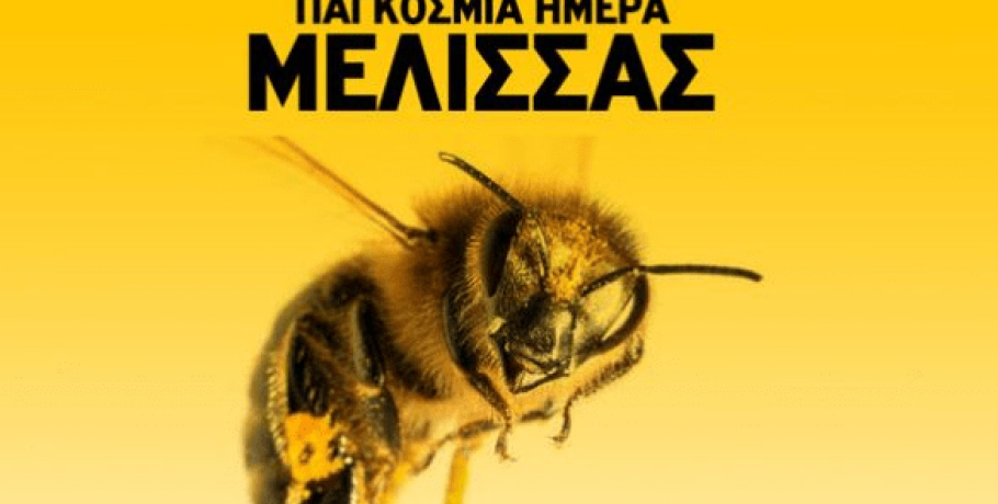 Ο Αυγενάκης για την Παγκόσμια Ημέρα Μέλισσας: "Η τεράστια συνεισφορά της στην παραγωγή"