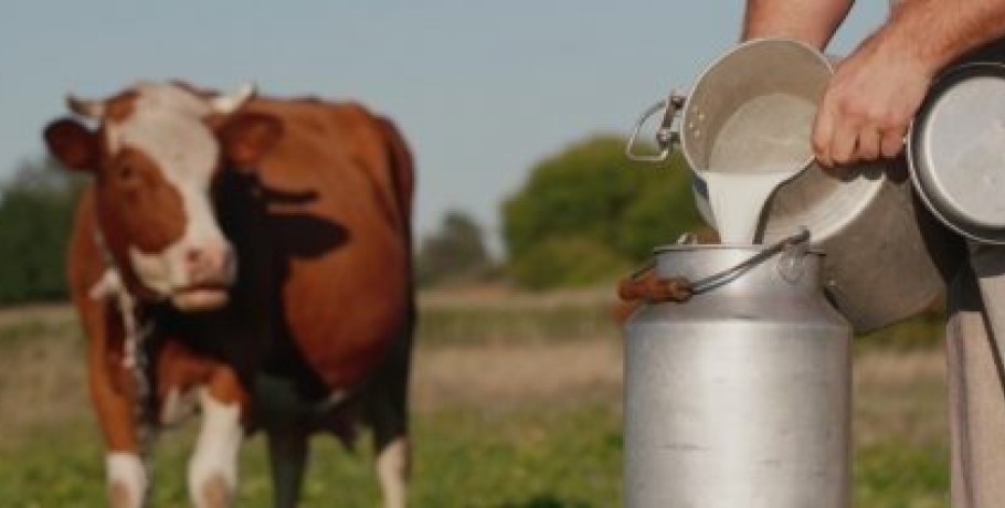 Στα 160 εκατομμύρια τόνοι η παραγωγή γάλακτος στην Ε.Ε. το 2022