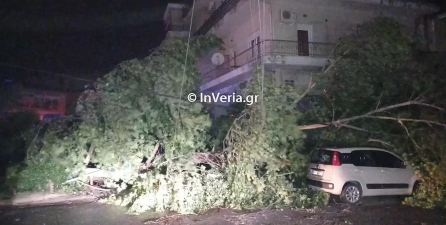 Μπουρίνι στην Ημαθία: Έπεσαν δέντρα, ξεριζώθηκαν και στέγες από τους ανέμους