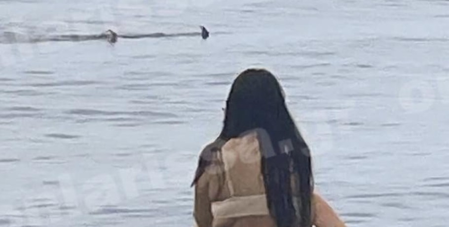 Τρόμος για τους λουόμενους - Καρχαρίας κάνει τη... βόλτα του δίπλα στην παραλία