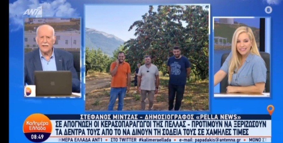 Καλημέρα Ελλάδα: Τα προβλήματα των κερασοπαραγωγων (βίντεο)