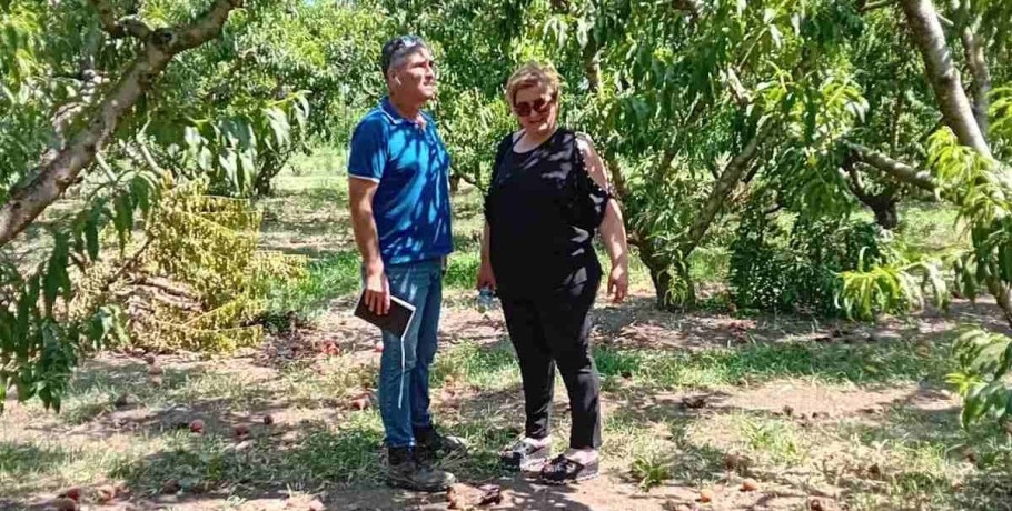 Νάουσα: η αντιδήμαρχος Άννα Βασιλειάδου σε κτήματα του Δήμου για ζημιές από ανεμοθύελλα