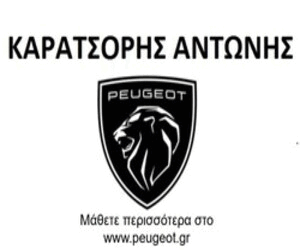 Peugeot 13&#x2F;11&#x2F;25-28&#x2F;11&#x2F;25